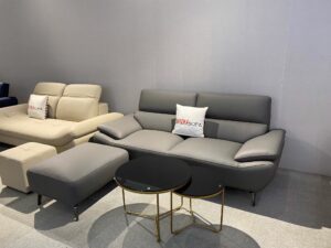 482006688 1098684802031959 5642811244761353636 n